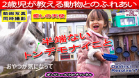 YouTube番組【2歳児と動物がトンデモナイことに！】配信！