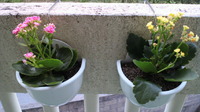 2012年05月04日