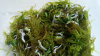 2012年05月09日