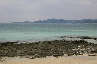 只今の畳石です!(さよこ撮影です!)