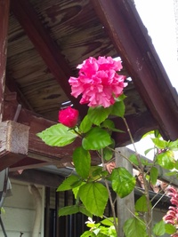 2012年04月08日