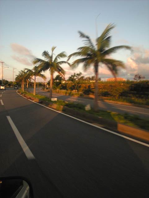 好きな道・・・