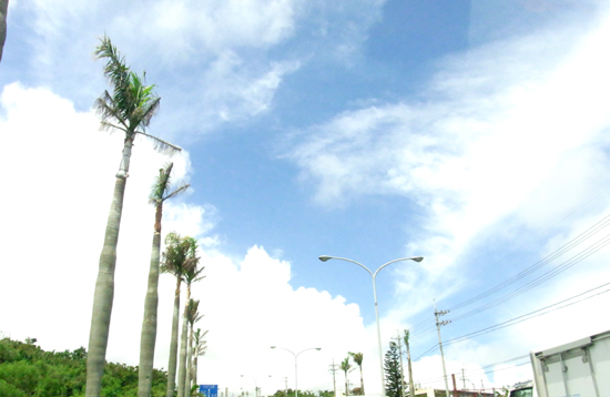 高い空 どこまでも 高い空 見上げてた