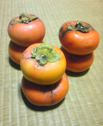 どこへも帰らない