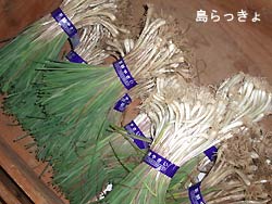 オススメですよ