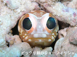 気持ちいい~