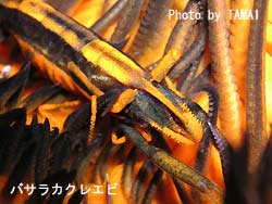さらに・・・。