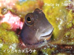 まさかの・・・。