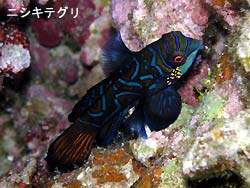 タイヤが~
