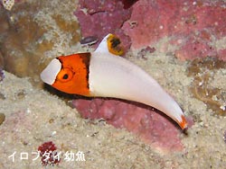 暖かい1日