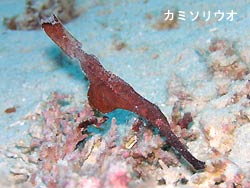 暖かい1日