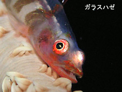 晴れの予報だったのに。。