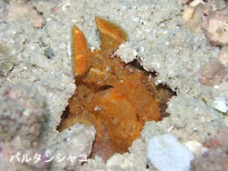少しマシに。