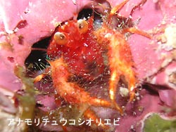 晴れの予報だったのに。。