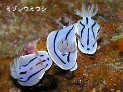 肌寒い1日。。