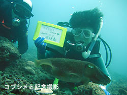 意外と静か
