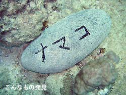 明日こそ。。