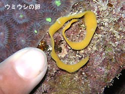 さぶぅっ!