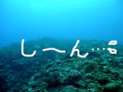 やっと!