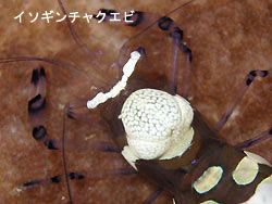 ベタ凪から嵐へ。。