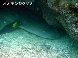 テンションが下がるな~