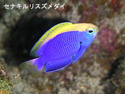 大雨・・・