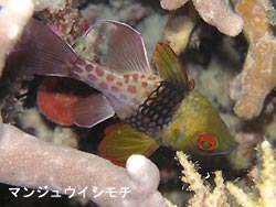 奇跡が起こったっ!