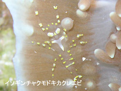 静かなポイントでのんびりと