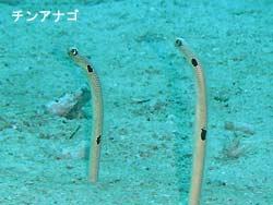 迫力のシーン