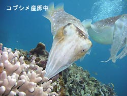 3月ですっ!