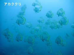 静かなポイントでのんびりと