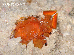大きなうねりが・・・