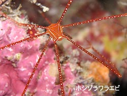 大きなうねりが・・・