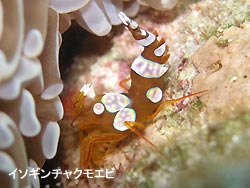 静かなポイントでのんびりと
