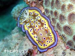 静かなポイントでのんびりと