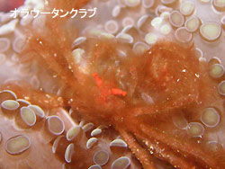 3年ぶりのリベンジ