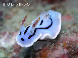 崎枝です!