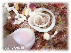 コンディションGOOD! しかし・・・