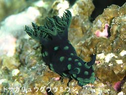 皆さん、良いお年を