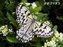 前線通過