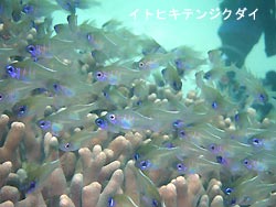 大雨・・・