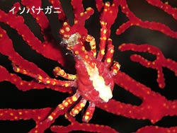 久しぶりに!