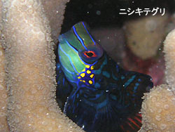 南風のまま・・・