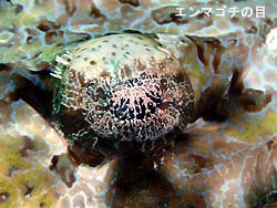皆さん、良いお年を