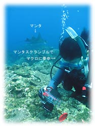 透明度良かったな~