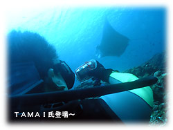 コンディション良し!