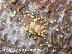 すんばらしいお天気