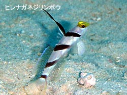 静かなポイントでのんびりと