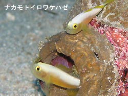 意外と静か