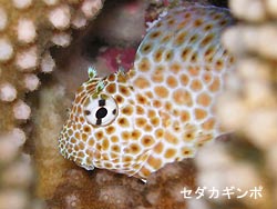 今日も快適